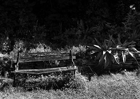 bänken trädgården visby 090814 SV NET 450